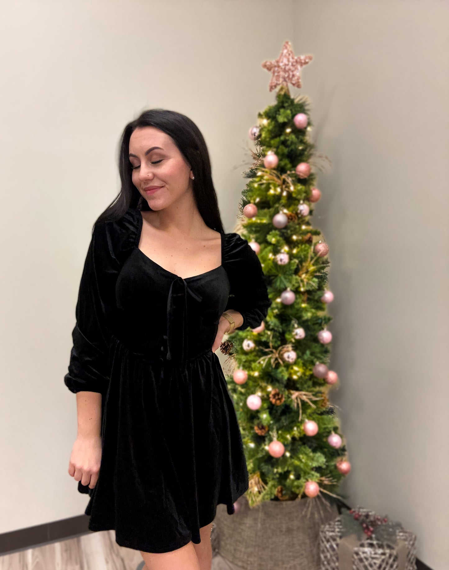 Velvet Elegance Dress Mini Dress