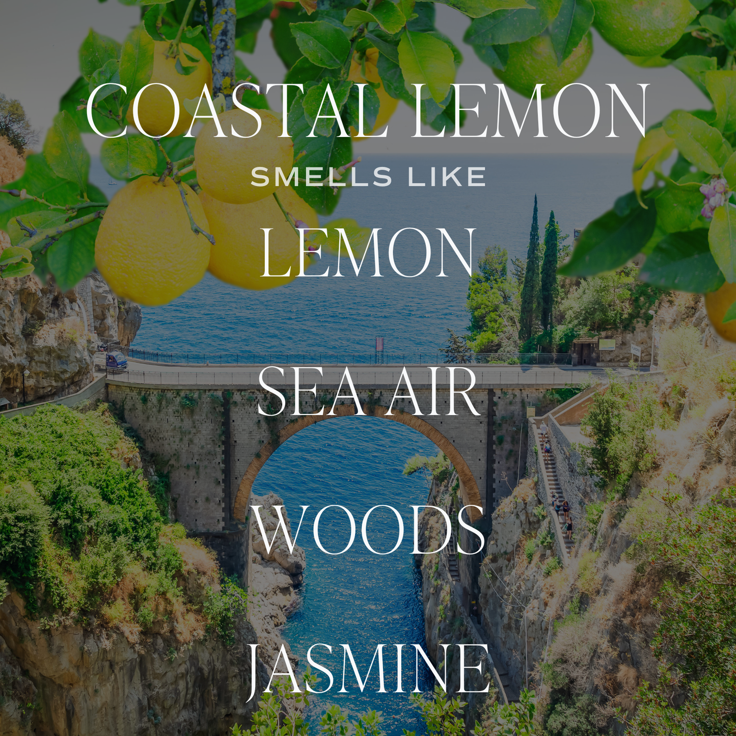 Coastal Lemon 11 oz Soy Candle