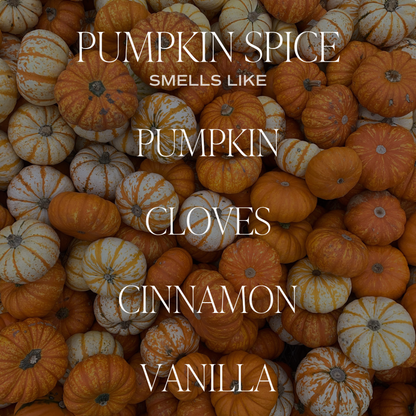 Pumpkin Spice 15 oz Soy Candle, Matte Jar - Fall Decor